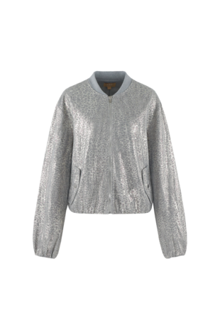 C&S Inthe Jacket grey lightgold