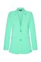 Mi piace Blazer Mint leaf